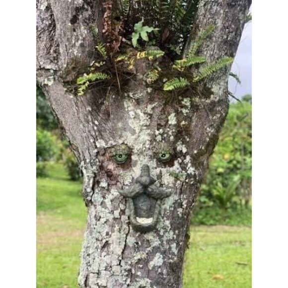 3 Pieces Bird Feeder Hand Painted Fun Outdoor Decor w/ Glow in The Dark Eyes - Picture 3 of 12